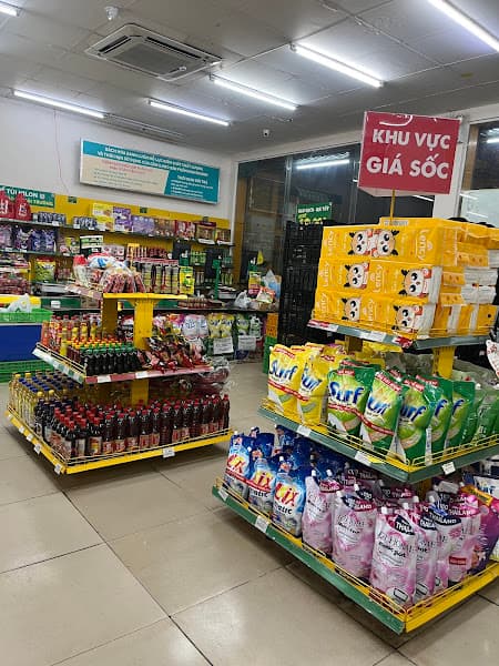 Hình ảnh Siêu thị Bách hoá XANH Ấp An Viễng - 2