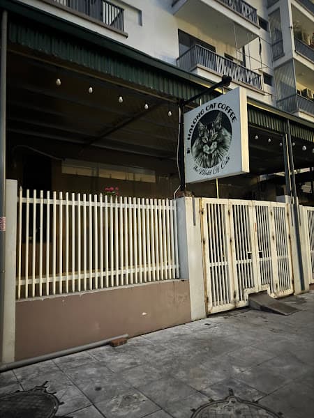 HaLong Cat Coffee