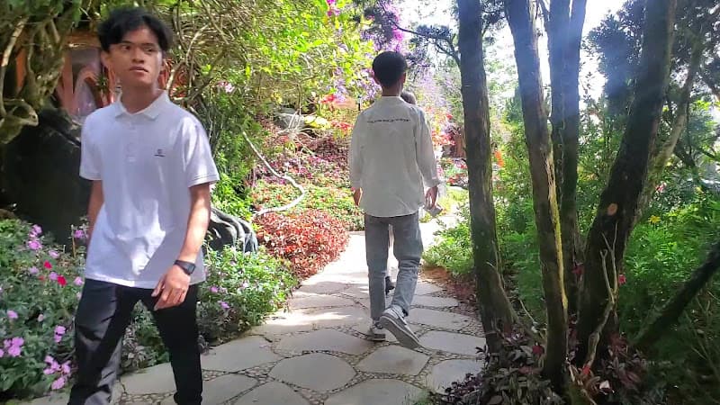 Hình ảnh Làng Cổ Tích - 3