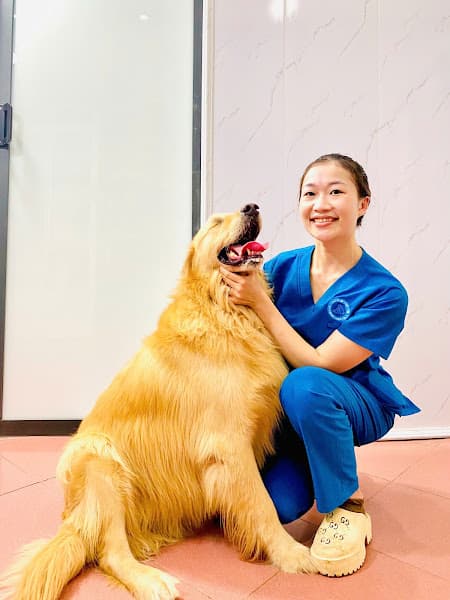 Hình ảnh Phòng Khám Thú Y Flower Pet - 3