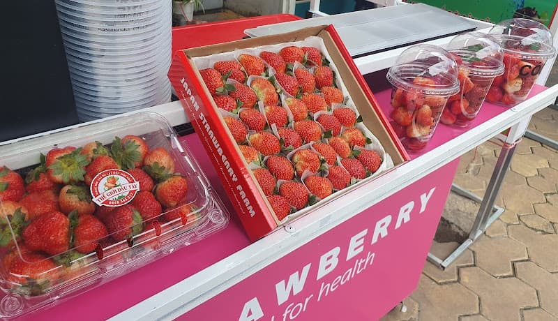 Hình ảnh THẾ GIỚI DÂU TÂY - Trái Cây Nhập & Hoa - 4