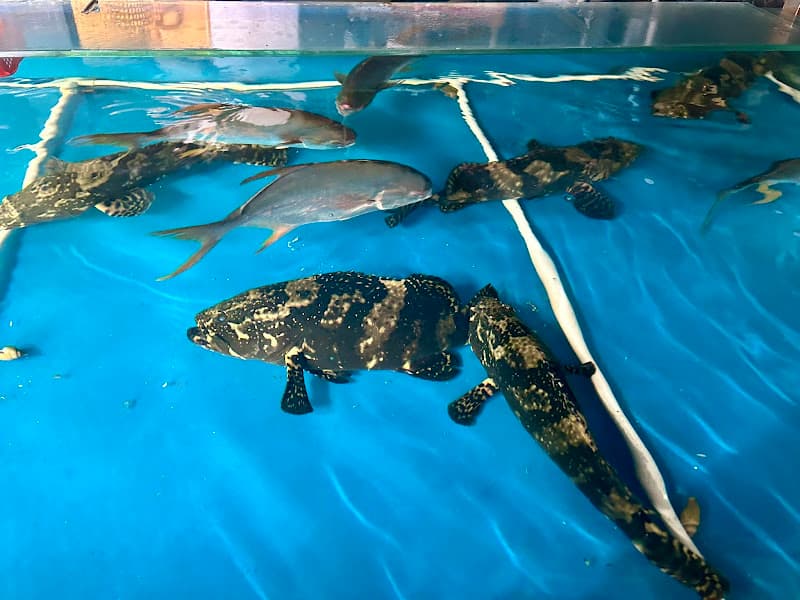 Vựa Giang Hải Sản-Cần Thơ