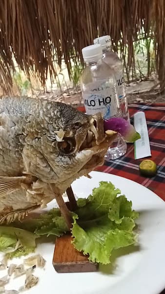 Hình ảnh KHU SINH THÁI NHÀ XƯA - 3