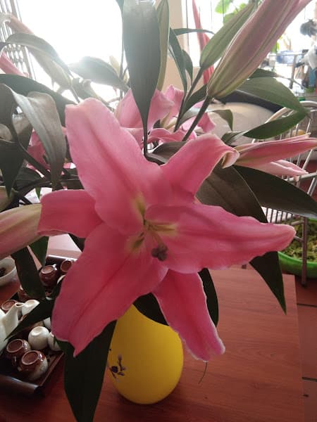 Hình ảnh Đồ Nướng Huyền Béo HP - 4