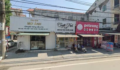 Ảnh bìa Petcung - siêu thị thú cưng