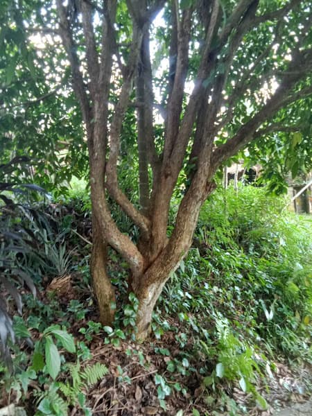 Hình ảnh thành phố Hà Tĩnh - 5