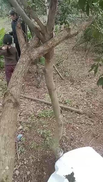 Hình ảnh thành phố Hà Tĩnh - 8