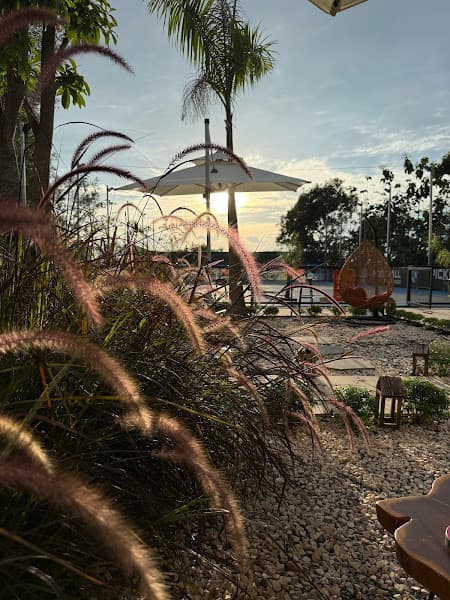 Hình ảnh Pickleball & Coffee Phúc Khang - 4