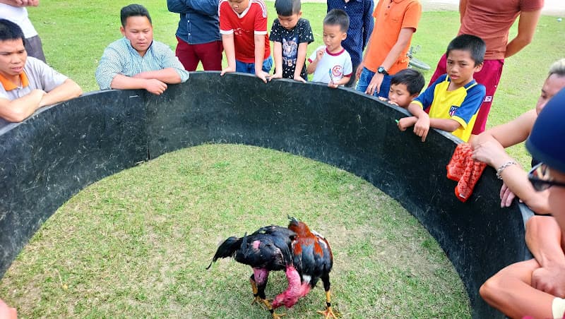 Hình ảnh Karaoke Đức Hướng - 3