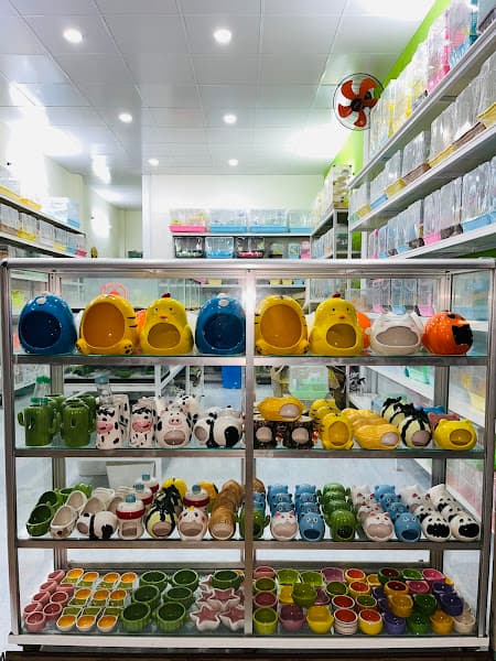 Hình ảnh Hamster Shop Sa Đéc KHỦNG LONG CON - 3