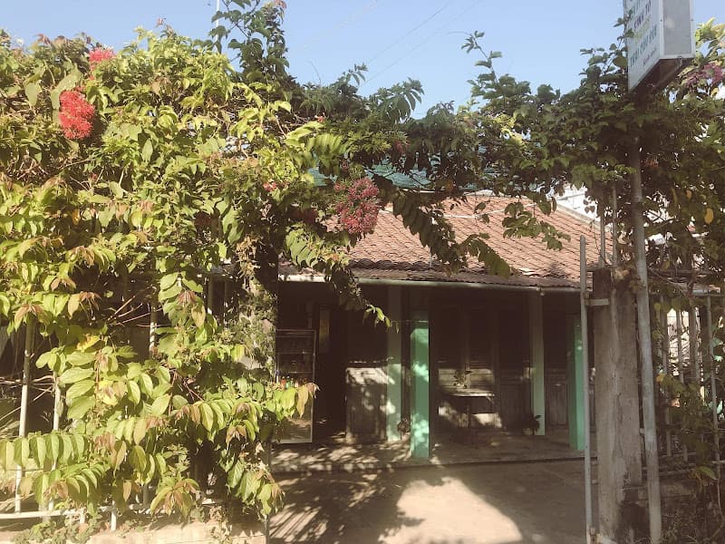 Hình ảnh SINH TỐ ANH ĐÀI - 5