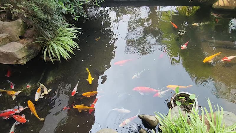 Hình ảnh Nhà hàng Sơn Thủy 168 - 2