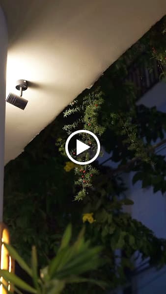 Hình ảnh Restaurant COONG CHAY - 4