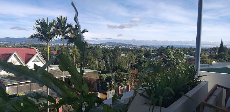 Hình ảnh Coco Nau - 3