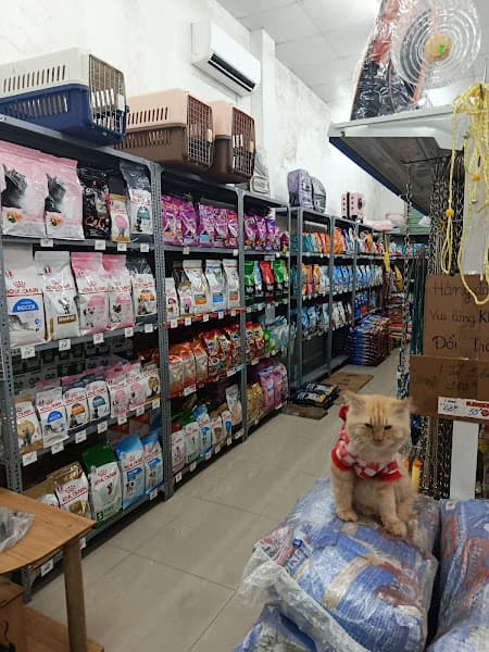 Hình ảnh Tiệm Thú Cưng ALU Biên Hoà - Shop Hamster Chó Mèo Biên Hoà - 2