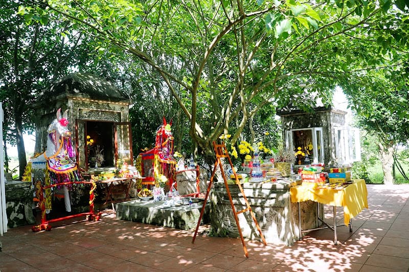 Hình ảnh Di Tích Lịch Sử Văn Hoá Lê Hầu Tạo - 5