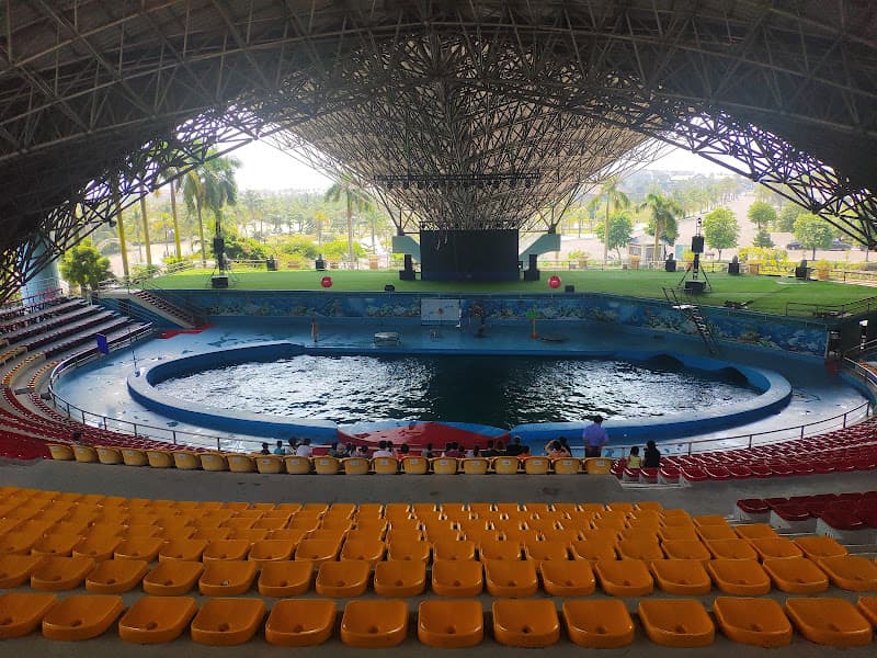 Hình ảnh Clip - 3