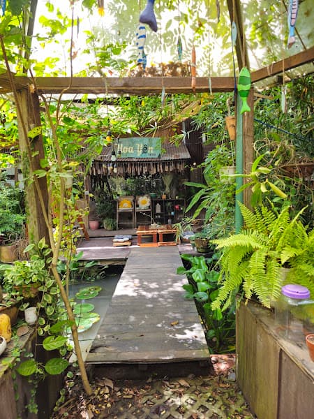 Hình ảnh Hoa Yên An Bình - 3