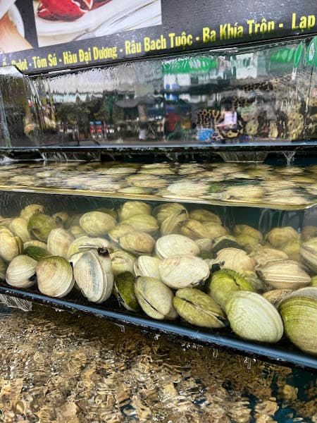 Hải Sản BẢO OANH