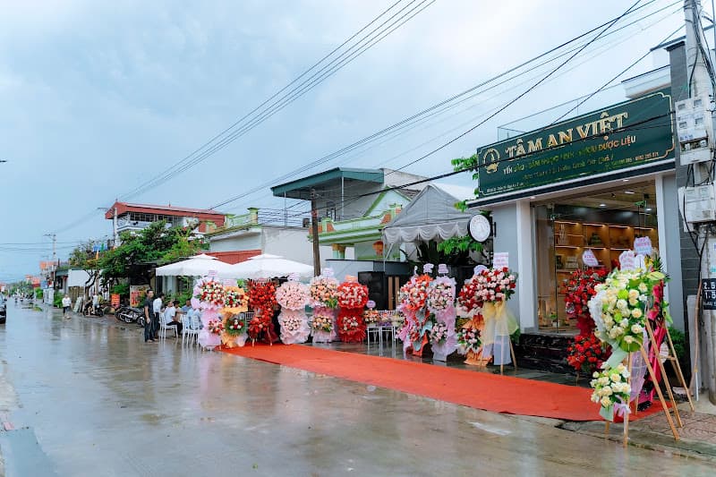 Hình ảnh Yến sào, Sâm Ngọc Linh TÂM AN VIỆT - 4