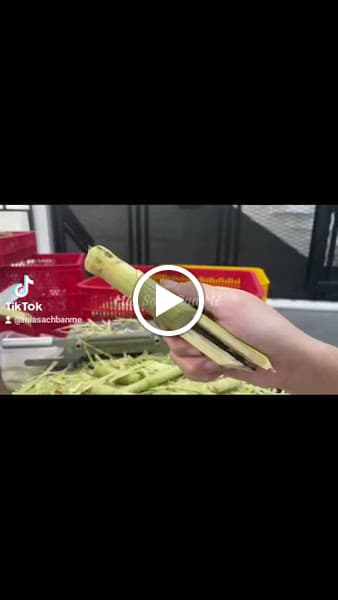Hình ảnh Mía Sạch Ban Mê - 4