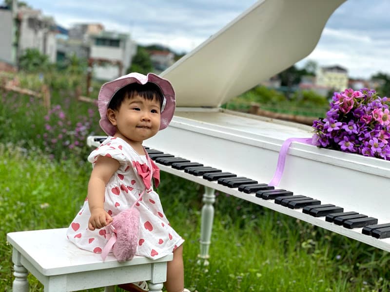 Ảnh bìa Vườn hoa Hờ Dờ Tờ