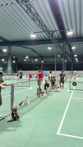 Hình ảnh matchup Sports Complex- Pickleball - 4