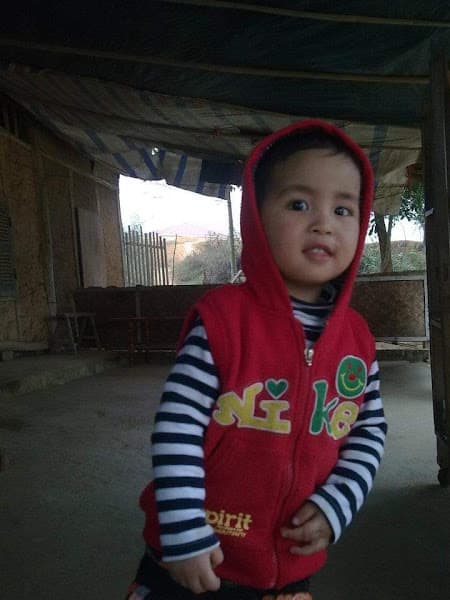 Hình ảnh Phở Bò; Gà; Sốt Vàng T235 - 4