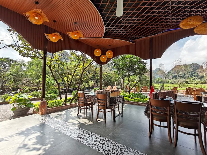 Forest Sunset. Bình Thái