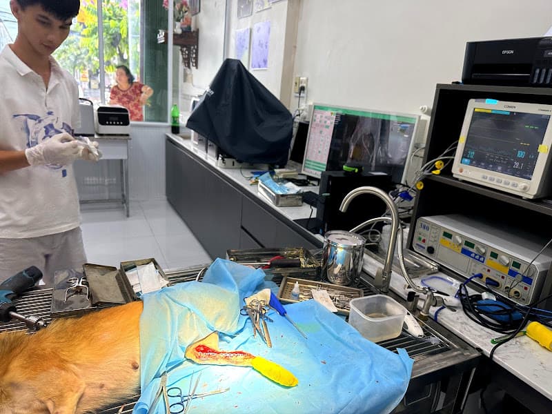 Hình ảnh Bệnh Viện Thú Y Chuẩn An Giang - 2