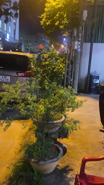 Hình ảnh Quán Lẩu Lương - 2