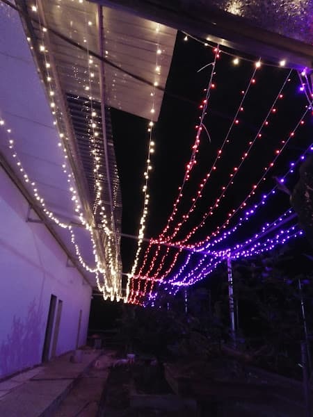 Hình ảnh Phố Núi Quán( Karaoke, Nhà Hàng ) - 2