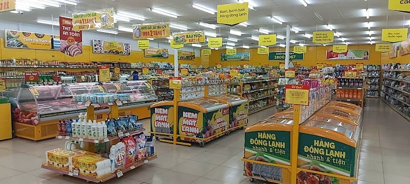 Hình ảnh Siêu thị Bách hoá XANH Thôn Kim Châu - 5