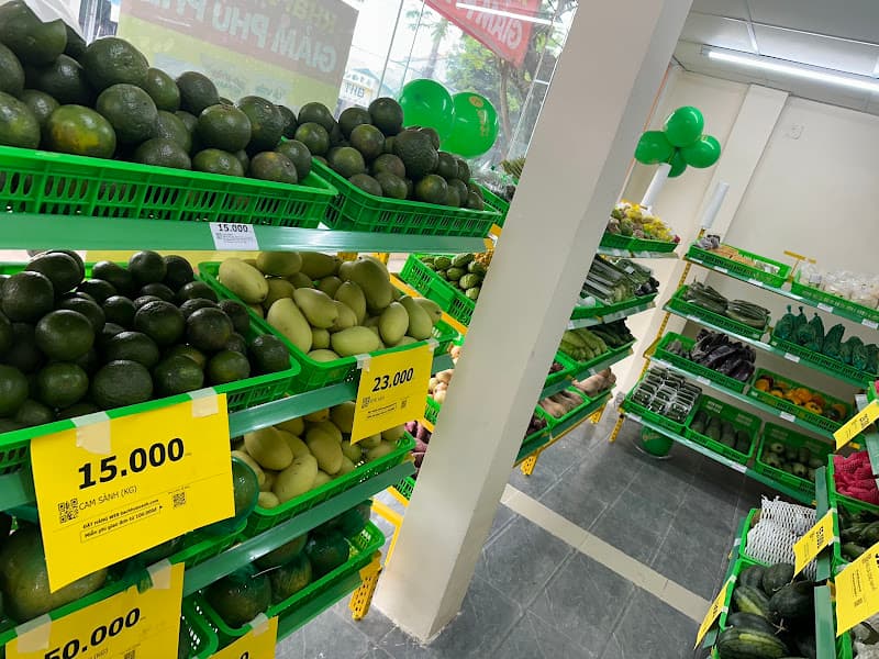 BÁCH HOÁ XANH LÊ LỢI