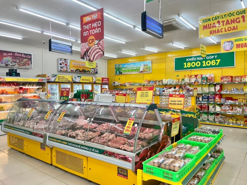 Hình ảnh Siêu thị Bách hoá XANH Ấp Tân Tây - 5