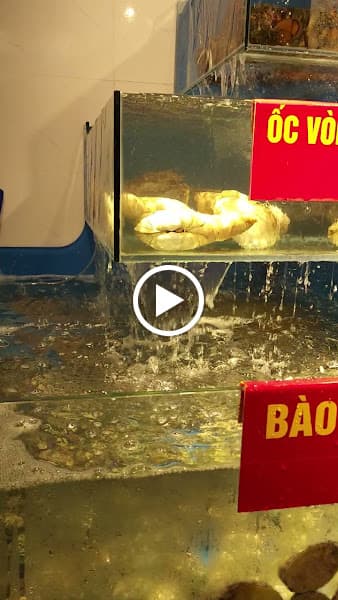 Hình ảnh Nhà hàng Tuấn Mập Sài Gòn - CN Buôn Ma Thuột - 4