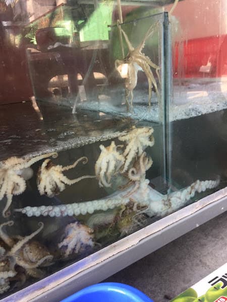 Hình ảnh Buffet Lẩu Nướng Hải Sản Hạ Long Bảo Bảo - 5