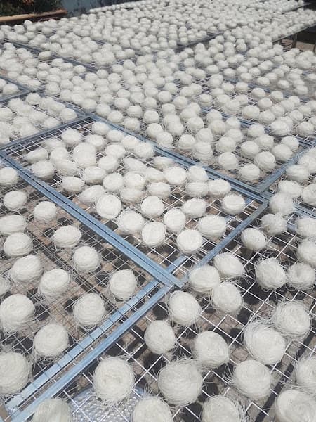 Hình ảnh XƯỞNG SẢN XUẤT PHỞ KHÔ GIA LAI - BÚN TƯƠI GIA LAI - GIAO HÀNG TẬN NƠI TOÀN QUỐC - 4