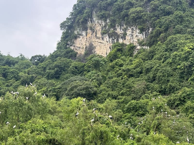 Hình ảnh Khu du lịch sinh thái Thung Nham - Ninh Bình - 4