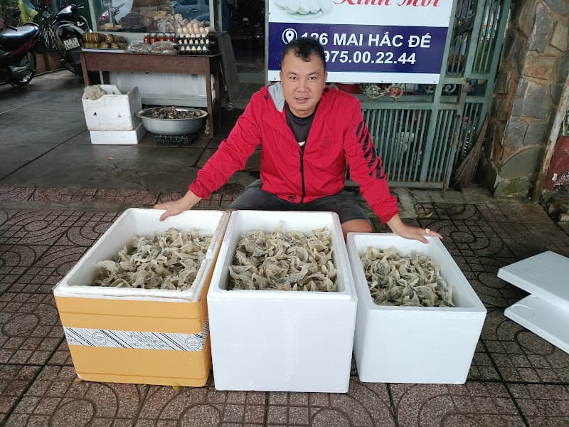 Hình ảnh Yến sào Bazan Tây Nguyên - 2