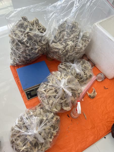 Hình ảnh TRUNG TÂM CHẾ BIẾN - YẾN SÀO HOÀNG YẾN - 6