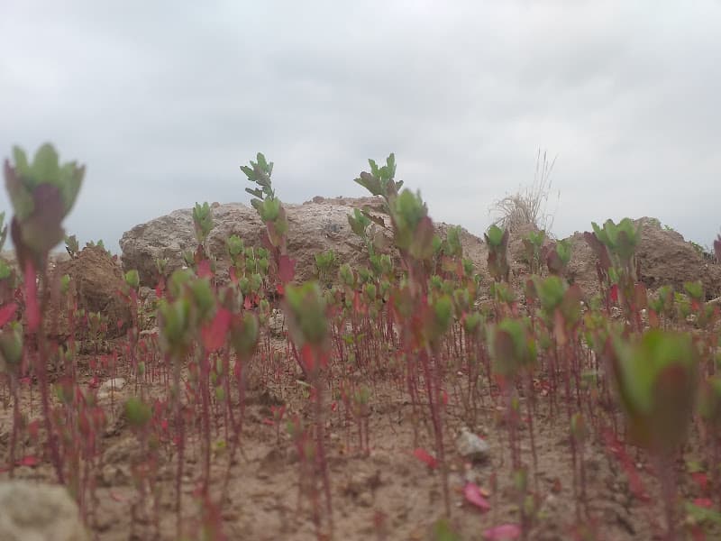 Hình ảnh CÔNG TY GIẶT LÀ MINH HỒNG - 6