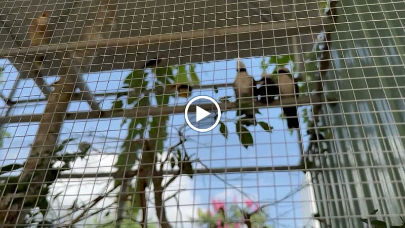 Hình ảnh Phòng Khám Thú Y Xuân Lộc - Khám, Điều Trị Bệnh Chó Mèo Tại Gia Ray - 4