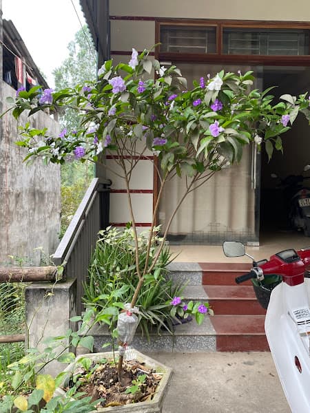 Hình ảnh Thịt chó Tưởng nhớ - 4