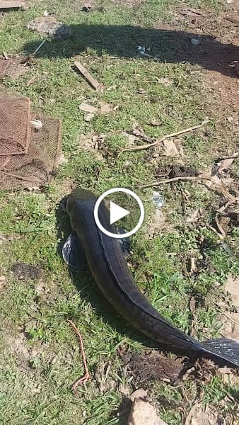 Hình ảnh Đồng An framstay - 4