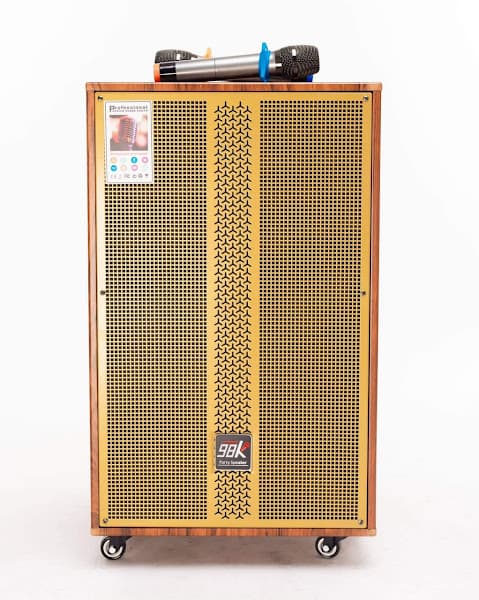 Hình ảnh loa kéo hải phòng - 5