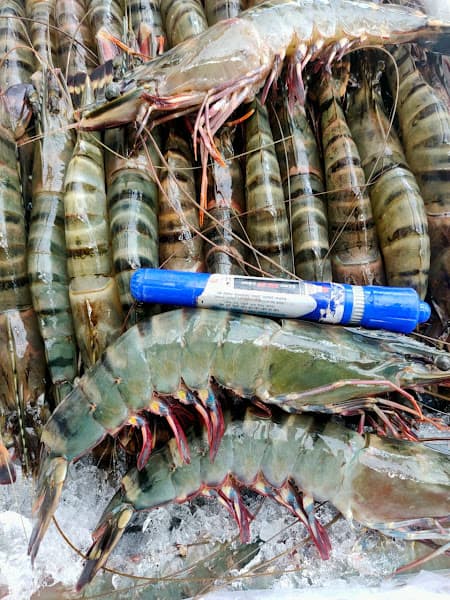 Ảnh bìa Hải Sản - Gò Dầu Tây Ninh