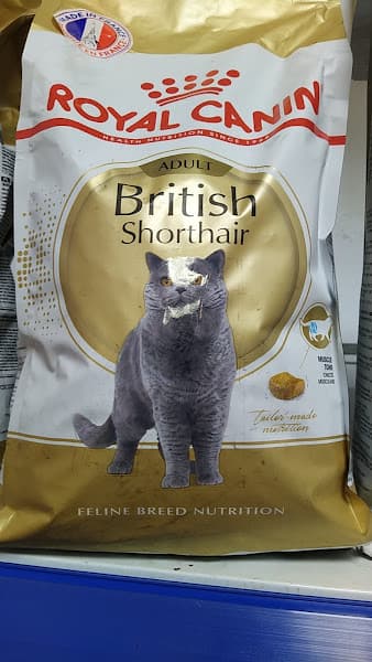 Hình ảnh Pet Cưng - 3