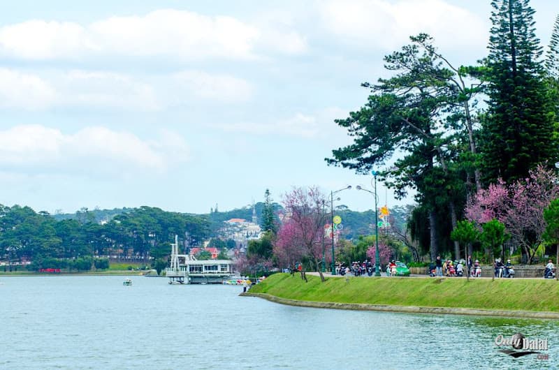 Ảnh bìa Cẩm nang du lịch Đà Lạt