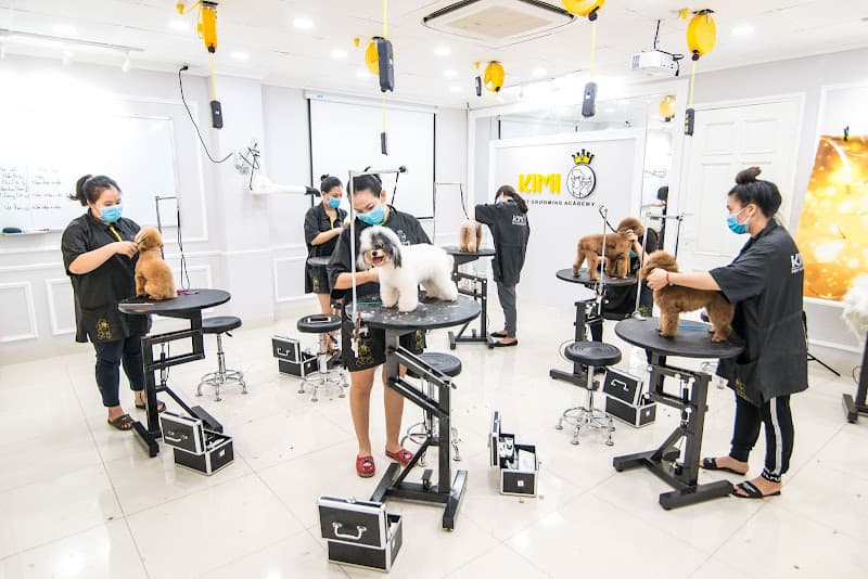 Hình ảnh Cắt Tỉa Lông Chó Mèo - KIMI PET Grooming Salon - 5